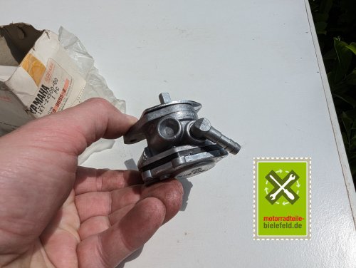 PXL_20240523_102924539